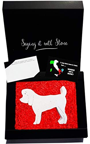 Caniche Miniatura de Piedra Hecho a Mano en Italia - Símbolo de Amistad, Devoción, Protección, Lealtad y Amor - Caja de Regalo y Tarjeta de Mensaje en Blanco - Amantes de Perros Miniature Poodle