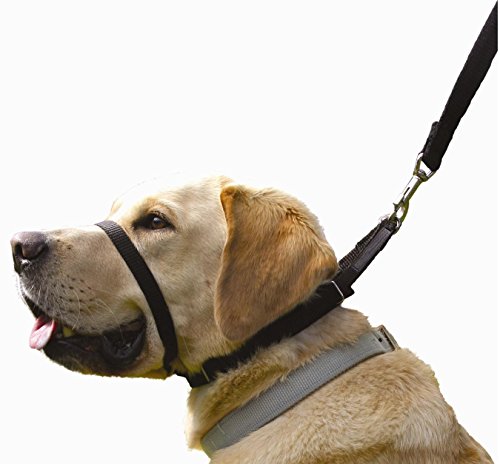 Canny Collar: Collar de Perro Entrenamiento y Collar Antitirones para Perros Grandes o Pequeños, ayuda simple y efectiva con el entrenamiento del perro y evita que los perros tiren de la correa (Negro)