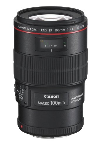 Canon EF 100mm f/ 2.8L Macro IS USM - Objetivo para Canon (Distancia Focal Fija 100mm, Apertura f/2.8-32, estabilizador, diámetro: 67mm) Negro