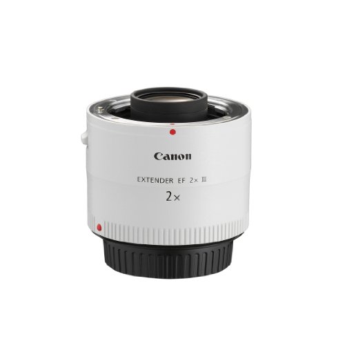 Canon EF 2X III - Adaptador para Objetivos de cámaras Canon EF, Color Blanco