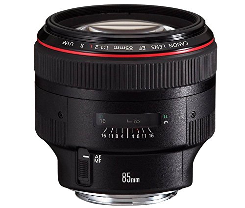 Canon EF 85mm f/1.2L II USM - Objetivo para Canon (Distancia Focal Fija 85mm, Apertura f/1.2-16, diámetro: 72mm) Negro