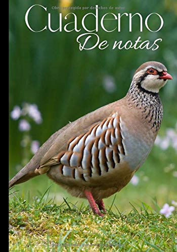 Cuaderno de notas: original y práctico diario de escritura reglada - cuaderno para cazador - caza menor - perdiz | 100 páginas en formato 7*10 pulgadas Cuaderno de notas: original y práctico diario de escritura reglada - cuaderno para cazador - caza menor - perdiz | 100 páginas en formato 7*10 pulgadas