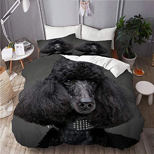 DAHALLAR Juego de Ropa de Cama con Funda de edredón, de Microfibra, Hermoso caniche Negro sobre Fondo Gris,con 2 Fundas de Almohada,140x200 DAHALLAR Juego de Ropa de Cama con Funda de edredón, de Microfibra, Hermoso caniche Negro sobre Fondo Gris,con 2 Fundas de Almohada,140x200