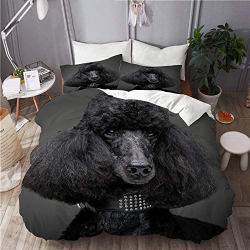 DAHALLAR Juego de Ropa de Cama con Funda de edredón, de Microfibra, Hermoso caniche Negro sobre Fondo Gris,con 2 Fundas de Almohada,140x200