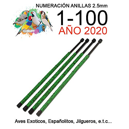 nestQ 100 Anillas Canarios Españolitos Jilgueros Exotiocs 2020 Color Verde Federativo Policromo Grabado Laser Cerradas 2.5 mm Numeradas con Año Marcado 2 Tiras con Numeración de 1-100