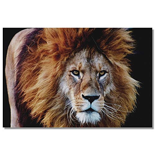 RTCKF Animal Carteles e Impresiones Lienzo Pintura Strong Lion Wall Art para niños Accesorios de decoración del hogar Rosa decoración de la Sala Mural A6 70X100cm