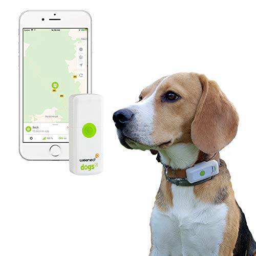 Weenect Dogs 2 - El collar GPS para perros más pequeño del mundo