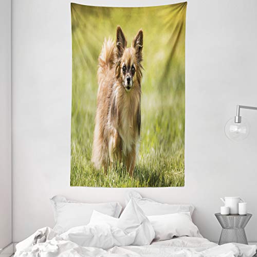 ABAKUHAUS Chihuahua Tapiz de Pared y Cubrecama Suave, Pelo Largo del Perro pequeño, Material Resistente, 140 x 230 cm, Caqui Camello Oscuro Cacao ABAKUHAUS Chihuahua Tapiz de Pared y Cubrecama Suave, Pelo Largo del Perro pequeño, Material Resistente, 140 x 230 cm, Caqui Camello Oscuro Cacao