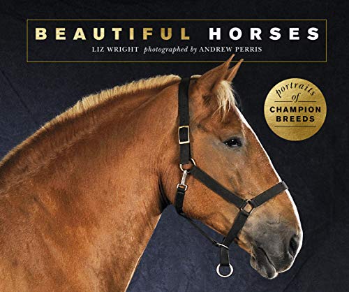 Beautiful Horses:Portraits of champion breeds (Beautiful Animals) (English Edition)