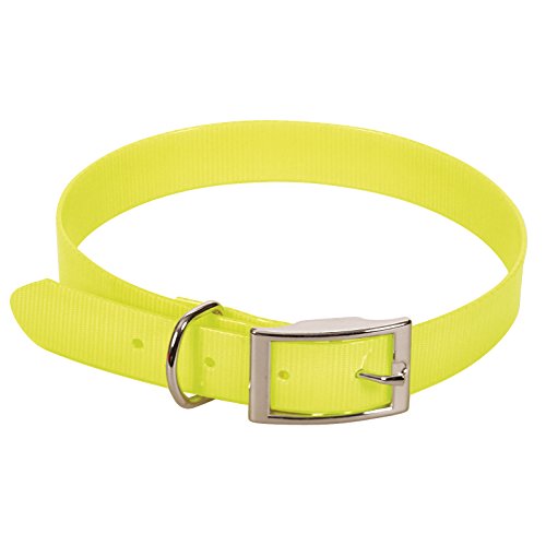 CHAPUIS SELLERIE SLA371 Collar Fluorescente de Perro - Correa de PVC Amarillo - Ancho 15 mm, Largo 35 cm, Talla S