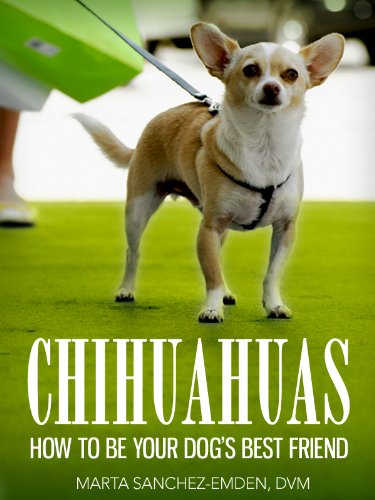 Chihuahuas: How to Be Your Dog's Best Friend: From advice for the new owner, to tips on training, grooming, common health concerns and more. (101 Publishing: Pets Series) (English Edition)
