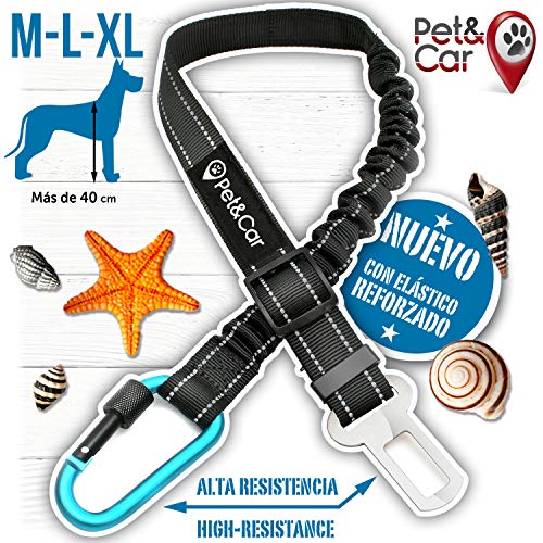 Cinturón de seguridad extensible para arnés de perro. Previene lesiones de mascota en coche por su correa elástica, mosquetón resistente y ligero con cierre de seguridad (Grande - Mediano (M - L - XL)