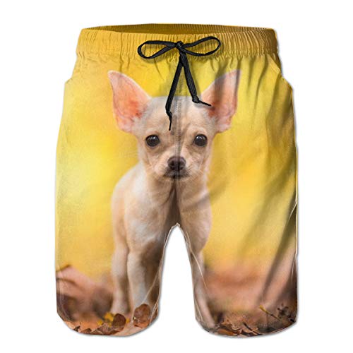 Cute Chihuahua Hombre Bañador Surf Tabla de Secado Rápido Shorts de Playa Cordón Cintura Elástica con Bolsillos XL