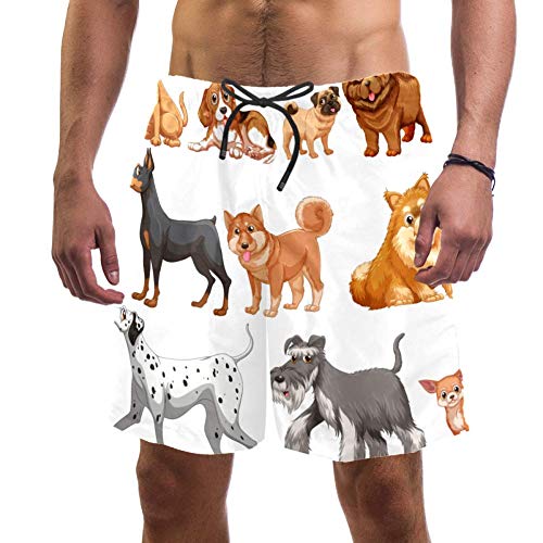 LORVIES - Bañador para hombre con diseño de cachorro chihuahua Pug Shiba Dálmata para playa y perro de secado rápido, talla L multicolor L