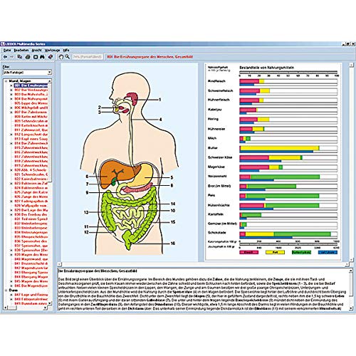 Órganos de alimentación y metabolismo en el cuerpo humano, CD-ROM interactivo