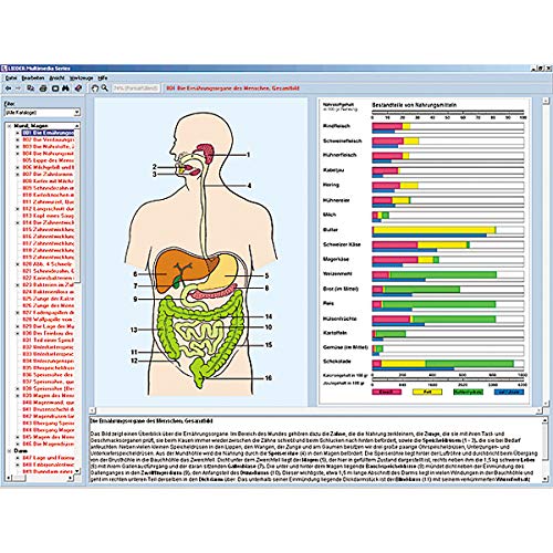 Órganos de alimentación y metabolismo en el cuerpo humano, CD-ROM interactivo Órganos de alimentación y metabolismo en el cuerpo humano, CD-ROM interactivo