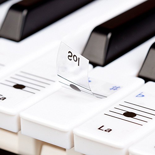 Pegatinas Keysies para notas musicales, transparentes, de plástico y despegables – Más guía útil de colocación.