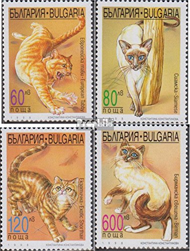 Prophila Collection Bulgaria 4337-4340 (Completa.edición.) 1998 Gatos (Sellos para los coleccionistas) Gatos