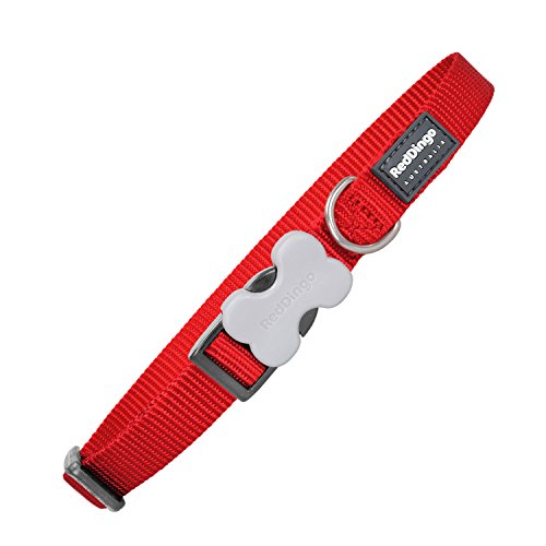 Red Dingo GmbH 9330725006041 Collar Perro, S, Rojo Red Dingo GmbH 9330725006041 Collar Perro, S, Rojo
