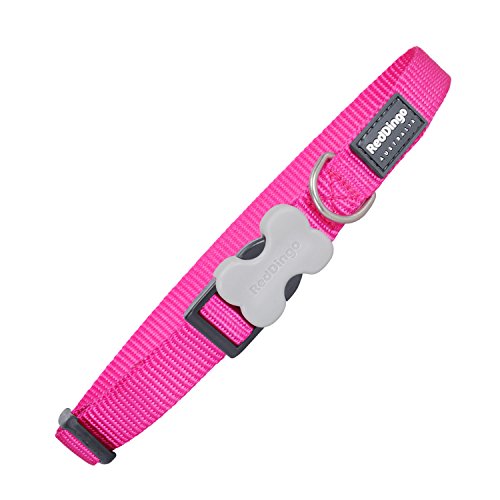 Red Dingo Plain - Collar Perro, Rosa (Hot Pink), talla del fabricante: M Red Dingo Plain - Collar Perro, Rosa (Hot Pink), talla del fabricante: M