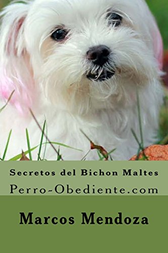 Secretos del Bichon Maltes: Perro-Obediente.com