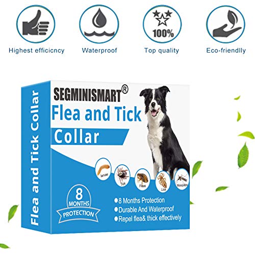 SEGMINISMART Collar Antiparasitos para Perro,Collar para Control de pulgas y garrapatas,Collar antipulgas y garrapatas para Perros y Gatos,Tamaño Ajustable e Impermeable