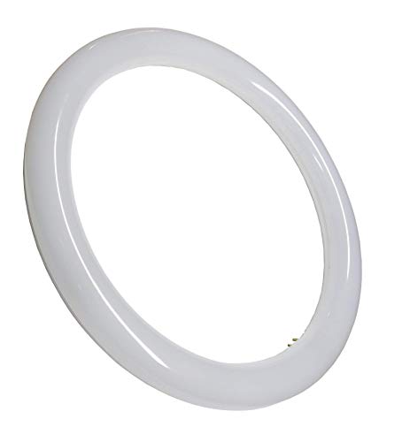 Tubo Circular LED G10, Color Blanco (6500K,). Sin instalacion. Tubo redondo cocina. (30cm)