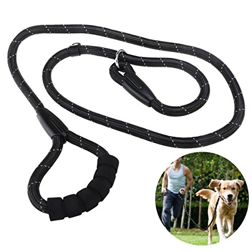 ueetek antideslizante correa para perros (180 cm Nailon perro plomo p-guinzaglio con ergonómico esponja Tirador para perro a caminar Formación, ideal para osos, Chihuahua, Pinscher miniatura