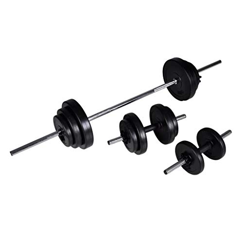 vidaXL Conjunto de Gimnacio Haltera + 2 Pesas 30,5Kg vidaXL Conjunto de Gimnacio Haltera + 2 Pesas 30,5Kg