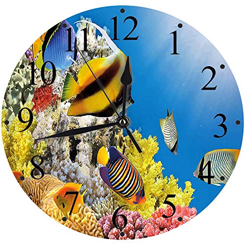 Yaoni Silencioso Wall Clock Decoración de hogar de Reloj de Redondo,Océano, Colonia de corales en la Cima de un Arrecife en el Mar Rojo Egipto Peces exóticos V,para Hogar, Sala de Estar, el Aula