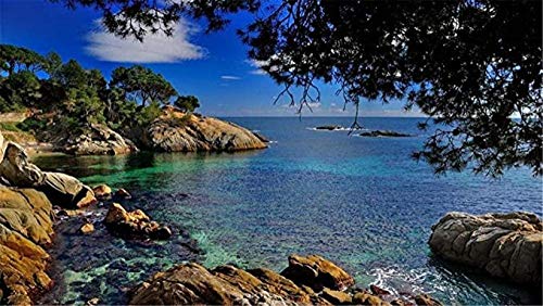 ZDFNB 5D Diamond Painting Castell Platja D ARO Costa Brava Embroidery Cross Stitch 5D Home Decor Gift 40X50Cm