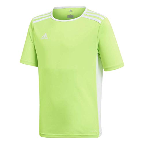 adidas Camiseta niño, Entrada 18 Jersey, Niños, Color Verde Solar/Blanco, tamaño S