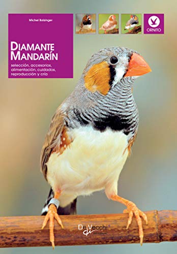 Diamantes Mandarin Anuncios Noviembre Clasf