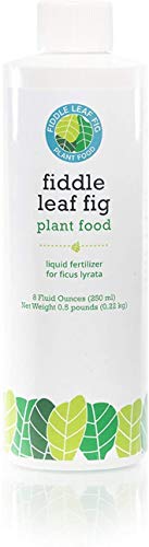 Fiddle Leaf Fig Plant Food Fertilizantes árbol - 8 oz de líquido. Fiddle Leaf Fig Plant Food Fertilizantes árbol - 8 oz de líquido.