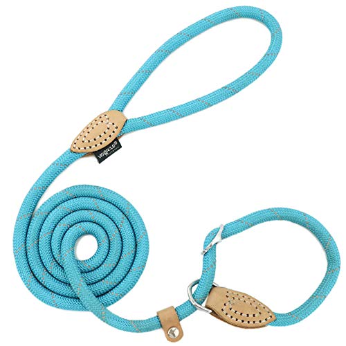 Grand Line Correa Ajustable Cuerda de Nylon para Perros y Gatos Pequeños, Medianos, Grandes y Extra Pesados Ideal para Entrenamiento Corriendo- 150cm, Azul Grand Line Correa Ajustable Cuerda de Nylon para Perros y Gatos Pequeños, Medianos, Grandes y Extra Pesados Ideal para Entrenamiento Corriendo- 150cm, Azul