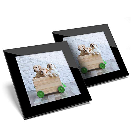 Impresionante juego de 2 posavasos de cristal – Cachorros de Labrador Cachorros Perro Cachorro Mascota Brillante Calidad de Protección de Mesa para cualquier Tipo de Mesa #45493