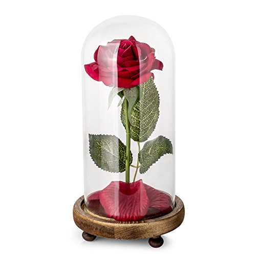 Kit de Rosas La Bella y la Bestia, Rosa de Seda roja y luz LED con pétalos caídos en la cúpula de Vidrio en la Base de Madera para la decoración del hogar Boda Cumpleaños Día de la Madre