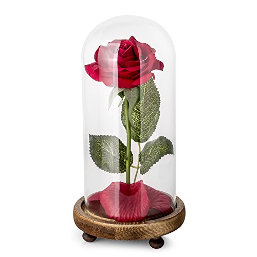 Kit de Rosas La Bella y la Bestia, Rosa de Seda roja y luz LED con pétalos caídos en la cúpula de Vidrio en la Base de Madera para la decoración del hogar Boda Cumpleaños Día de la Madre Kit de Rosas La Bella y la Bestia, Rosa de Seda roja y luz LED con pétalos caídos en la cúpula de Vidrio en la Base de Madera para la decoración del hogar Boda Cumpleaños Día de la Madre