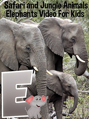 Safari and Jungle Animals - Elephants Video For Kids