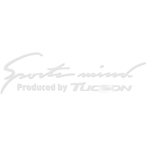 TAYDMEO Etiqueta engomada de la ceja de la lámpara del Coche de 2 Piezas, para Hyundai Tucson, Auto decoración del Cuerpo Pegatinas del Coche calcomanías de los Faros del Coche