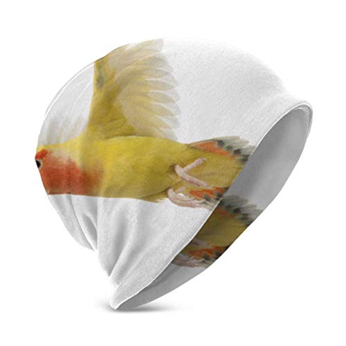 Unisex Beanie Hat Retrato cálido y Acogedor Lovebird Rosado Rosado Agapornis Roseicollis 3D Kids Fashion Beanie Caps Apto para niños