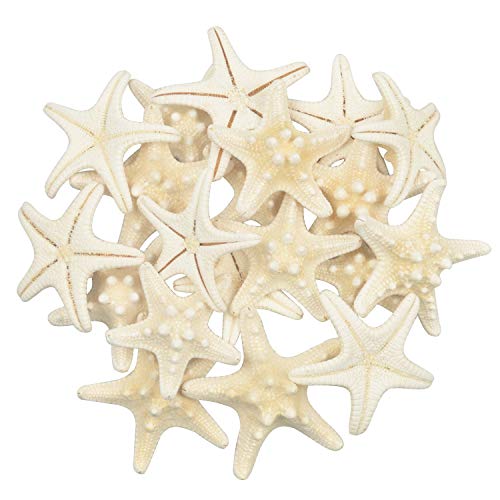 Yixuan 20PCS Estrellas de mar Estrella de mar Natural Estrella de mar Decoracion Molde Estrella mar decoración de Bodas/Fiesta temática en la Playa/Decoraciones para el hogar/Bricolaje Yixuan 20PCS Estrellas de mar Estrella de mar Natural Estrella de mar Decoracion Molde Estrella mar decoración de Bodas/Fiesta temática en la Playa/Decoraciones para el hogar/Bricolaje
