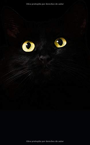 2020/2021: Agenda 2020 2021 Semana Vista, Planificador, Organizador, Diario, Agenda semanal 18 meses A5, Calendario Julio 2020 a Diciembre 2021, cubrir con gato negro, ojos de gato.