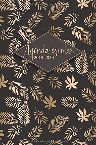Agenda Escolar 2019 2020: Agenda 2019 - 2020 | El calendario semestral y planificador de estudios para el nuevo año académico 2019 - 2020