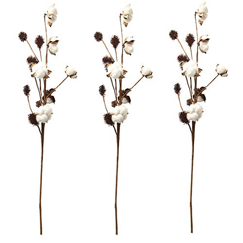 Aisamco Paquete de 3 Tallos de algodón Decoración de Granja Selecciones Florales Relleno de florero de Estilo rústico Ramas de algodón rústico 68cm por Tallo Decoración Flor