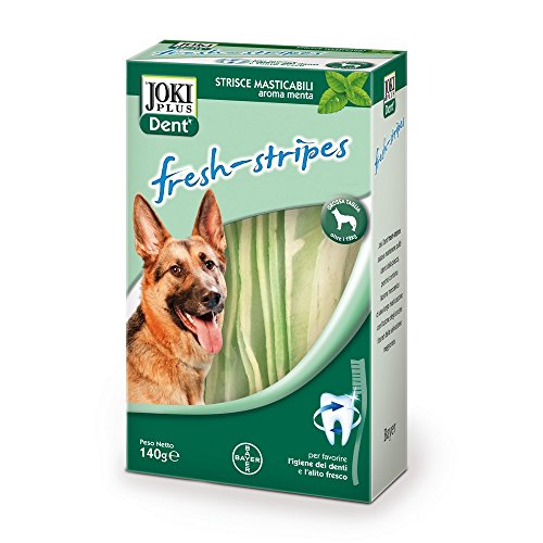 Bayer – Joki Dent T. Gr. Bayer – Joki Dent T. Gr.
