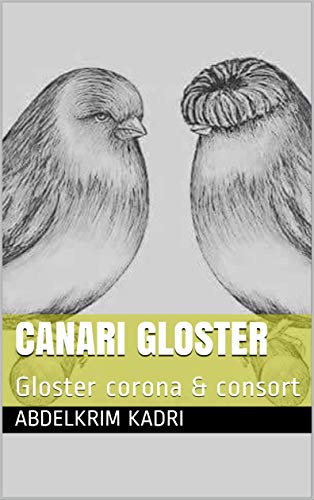 Canari gloster: Gloster corona & consort (French Edition)