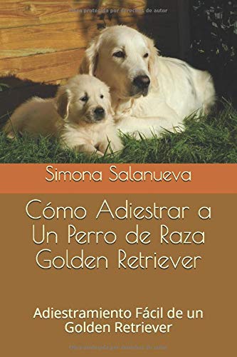 Cómo Adiestrar a Un Perro de Raza Golden Retriever: Adiestramiento Fácil de un Golden Retriever