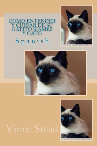 Como Entender Y Cuidar De Su Gatito Siames Y Gato