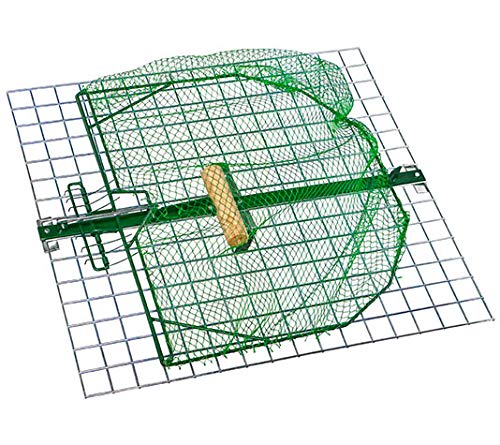 FINCA CASAREJO Trampa para Aves. Jaula Trampa para pájaros Grandes. Captura Animales Vivos (TC11). FINCA CASAREJO Trampa para Aves. Jaula Trampa para pájaros Grandes. Captura Animales Vivos (TC11).